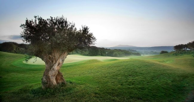 Golftrainingswoche Costa Navarino