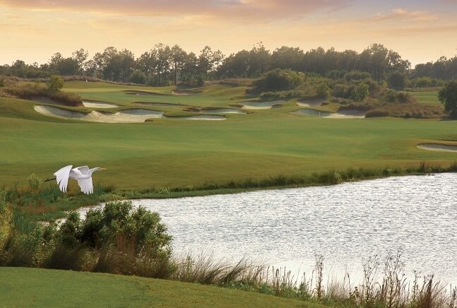 Fazio Course Myrtle Beach