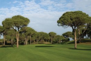 Cornelia Faldo Golf Cornelia Faldo Golf