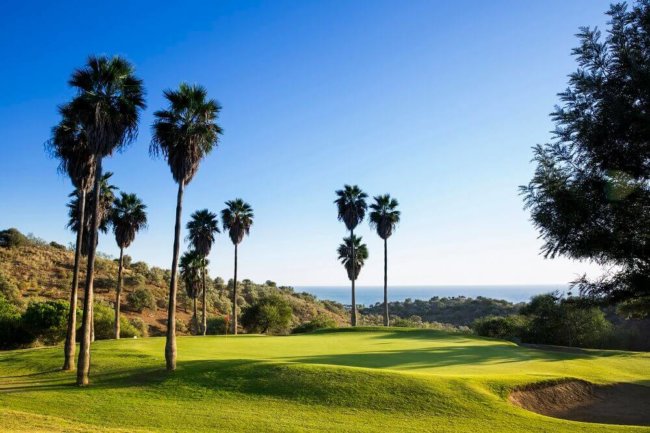 Webinar mit der Costa del Sol Webinar mit der Costa del Sol