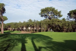 Cornelia Faldo Golf Cornelia Faldo Golf